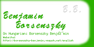 benjamin borsenszky business card